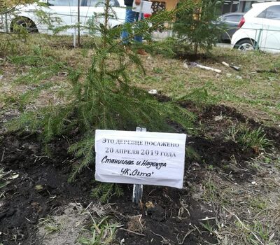 Субботник 2019 года